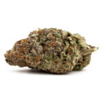 GDP Auto x Gumberry Auto Feminised Seeds - 5-seeds