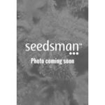 Lemongrass Feminised Seeds - 5-seeds