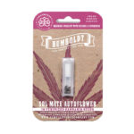 Sol Mate Auto Feminised Seeds - 10-seeds