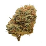 Critical Mass Regular Seeds - 12-seeds